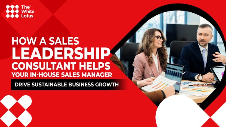 Sales Leadership Consulting
